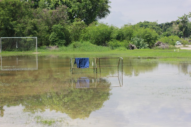 限度减少因 限度减少因